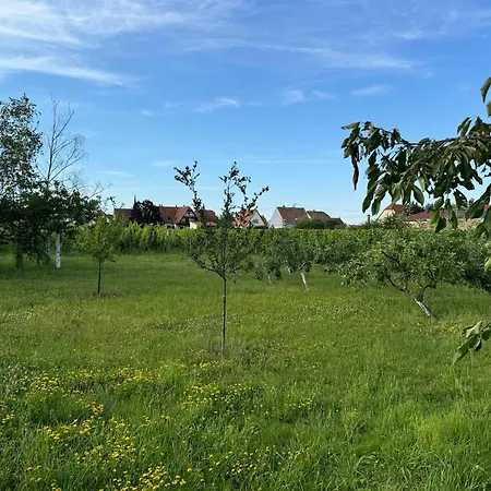 Entre Vignes Et Verger