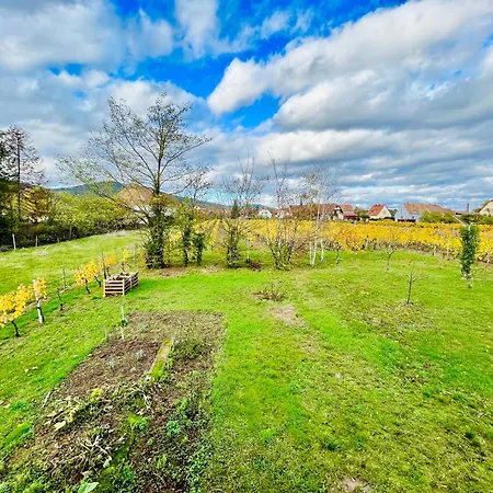 Entre Vignes Et Verger Holiday home Scherwiller