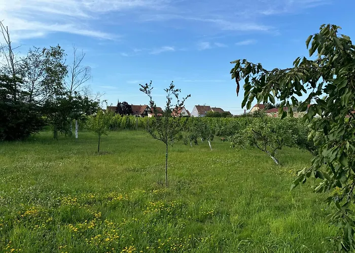 Entre Vignes Et Verger